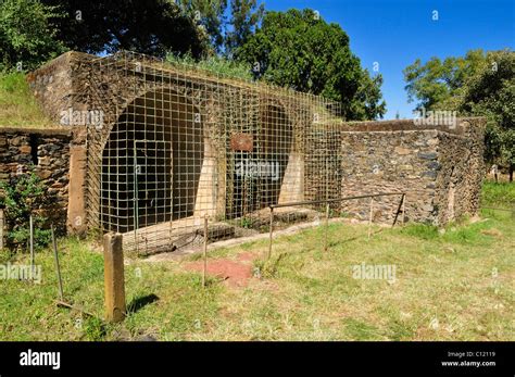  Gondar Lions - Etstudie i Kunglig Prakt och Vilddjurs Majestätet